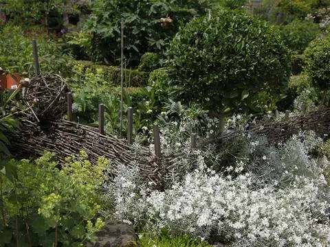 12 идей украшения сада_обрезка веток в качестве каркаса кровати