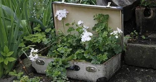 12 идей декора для сада