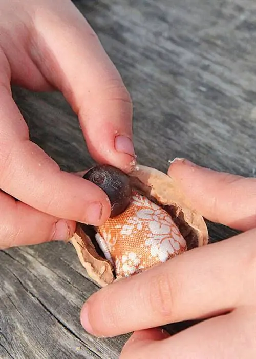 Поместите осенних животных в кровать