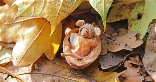 Рукоделие с детьми: 3 креативные идеи на осень