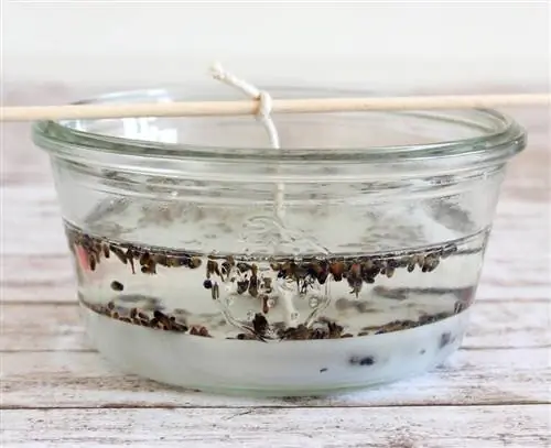 Наполните банку воском и лавандой.