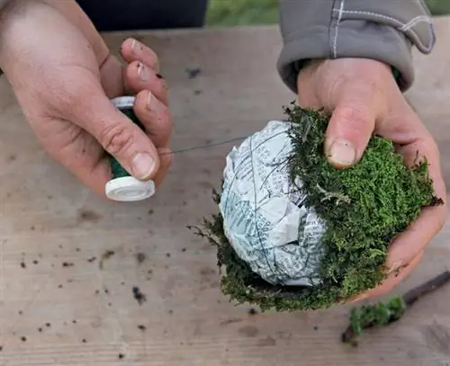 Сделать моховые шарики самостоятельно - обмотать заготовку мхом