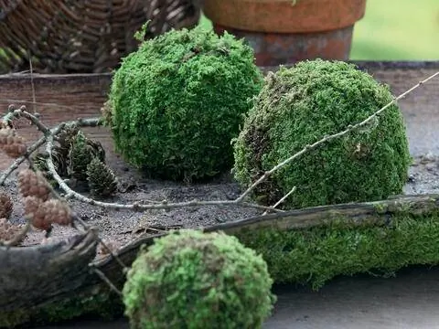 Готовые шарики из мха