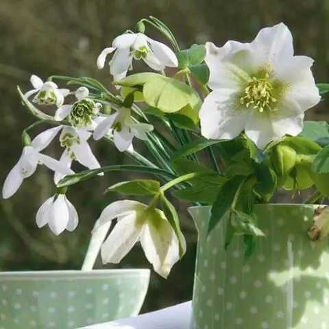 Идея украшения весенней розой и подснежниками