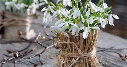 Идеи украшения белыми цветами