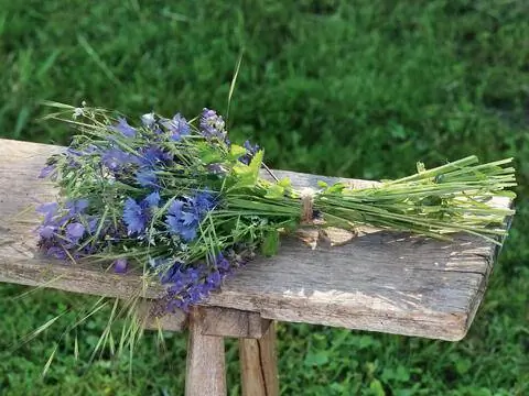 Букет синих и фиолетовых полевых цветов