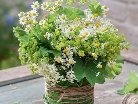 Цветочное украшение из манжетки, ромашки и бузины