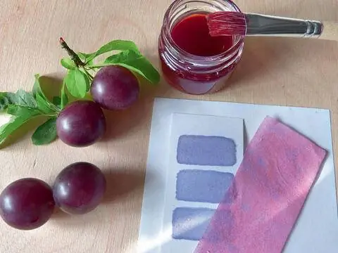 дикая слива