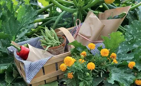 Бумажные конусы с овощами