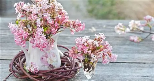 Зимние украшения: 7 идей с цветущими снежками
