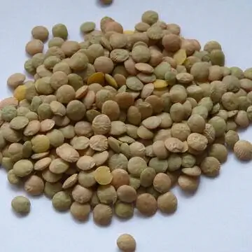 линзы