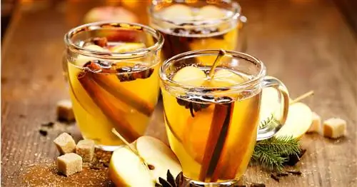 Яблочный глинтвейн со специями
