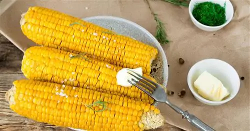 Приготовить сладкую кукурузу: это так просто