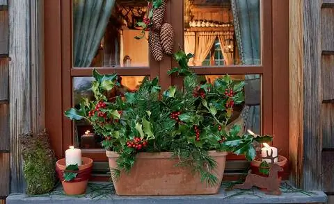 Адвентское украшение остролистом на подоконнике