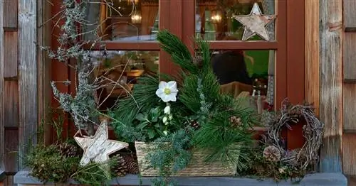 Рождественские украшения: самые красивые идеи