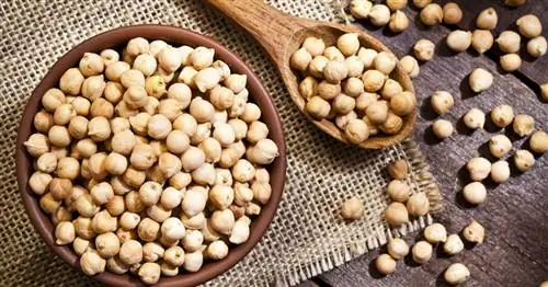 Приготовление нута: краткий обзор вариантов