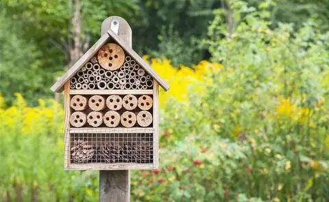 отель для насекомых