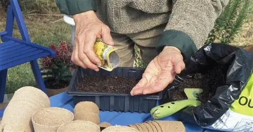 Предпочитаю салат: Простая инструкция для имитации