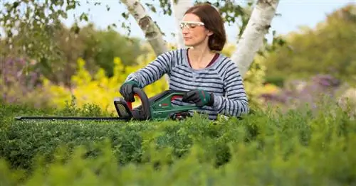 Вот как живые изгороди и кустарники остаются красивыми круглый год: три вопроса Bosch Home & Садовый тренер по садоводству Йоханнес Калмбах