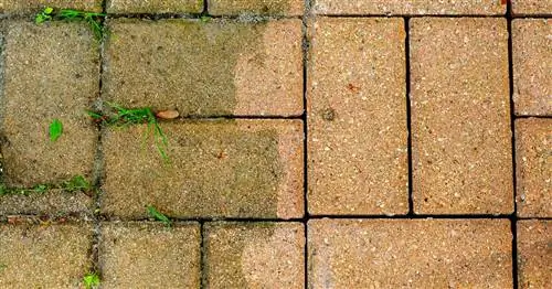 Удаление зелени: так терраса снова становится красивой