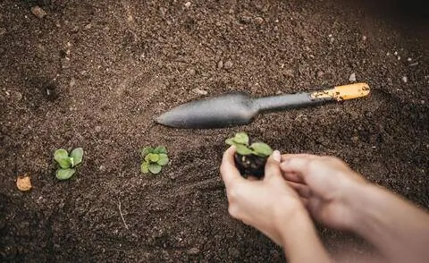 Совок для посева твердых семян Fiskars