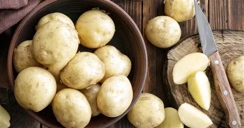 Можно ли есть картошку сырой?