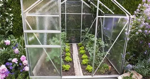 5 лучших овощей для выращивания в теплице