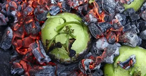 Приготовление кольраби на гриле: это так просто