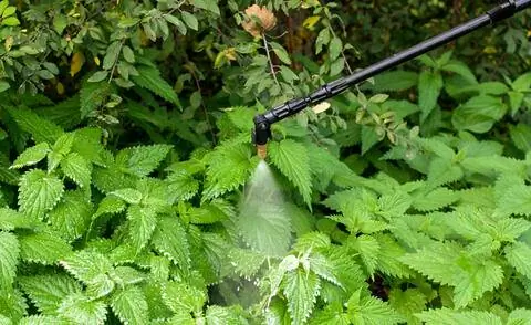 Крапива спрей