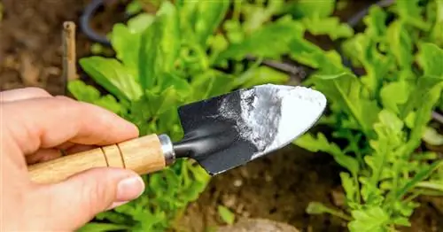 Использование пищевой соды против сорняков: возможно ли это?