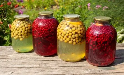 подход к ликеру из крыжовника