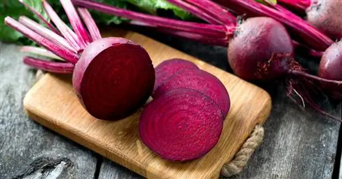 Готовим свеклу: вкусные идеи для подражания