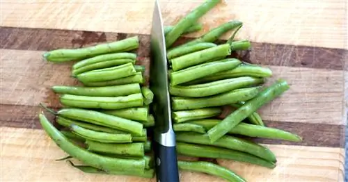 Подготовка стручковой фасоли: какие есть варианты?