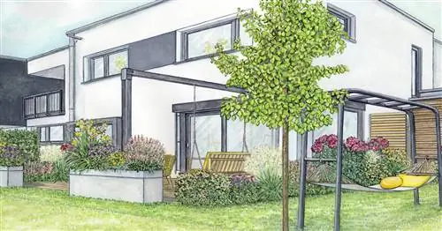 Новый сорт в мини-садике