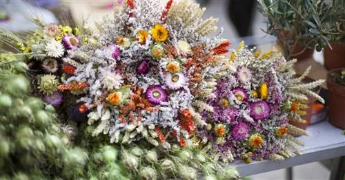 Сушка букета: Лучшие способы