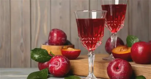 Приготовьте сливовый ликер самостоятельно: это так просто