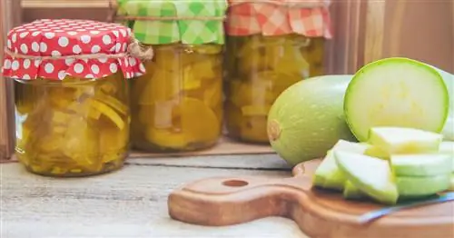 Ферментация кабачков: как правильно?