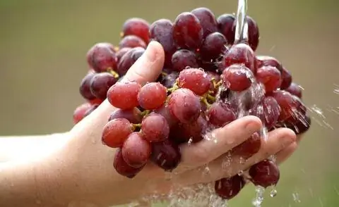 Вымойте виноград