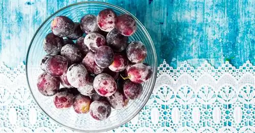 Заморозка винограда: на это стоит обратить внимание