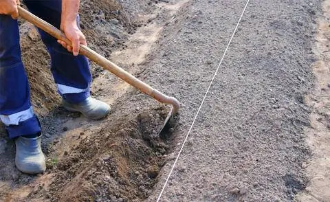 Приготовить картофельную грядку