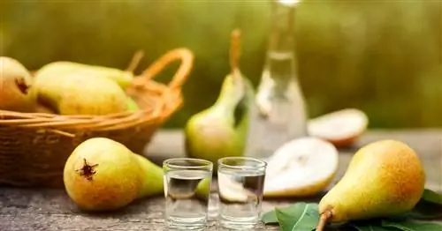 Приготовьте грушевый ликер самостоятельно: простой рецепт для подражания