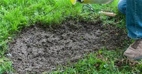 Посев газона осенью: преимущества