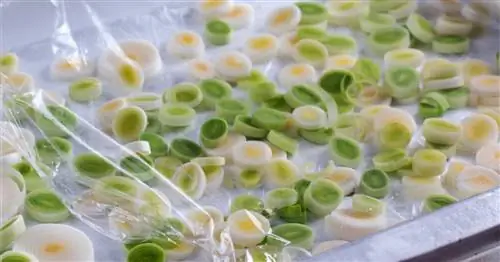 Заморозка лука-порея: как лучше всего это сделать?