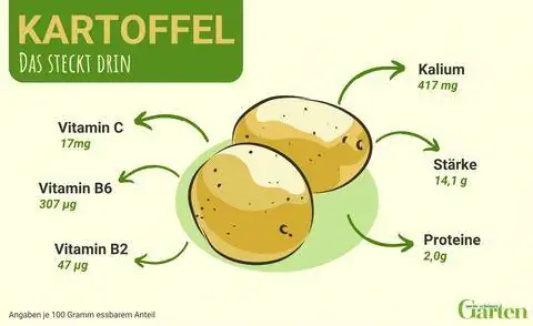 Картофельные графические ингредиенты