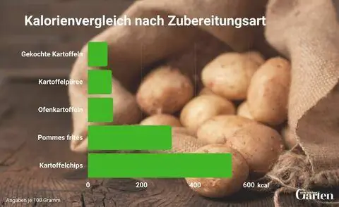 График сравнения калорийности картофеля