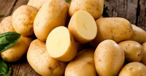 Картофель: краткий обзор калорий и пищевой ценности