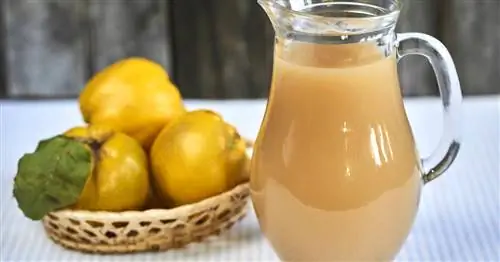 Приготовление сока из айвы: Вот как это работает с вкусным соком