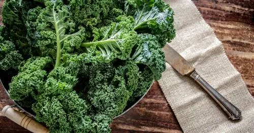 Приготовьте капусту: так зимние овощи вкуснее всего