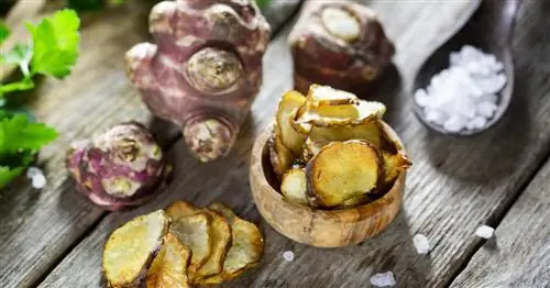 Приготовление топинамбура: так клубень вкуснее всего