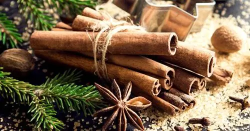 7 самых популярных рождественских специй